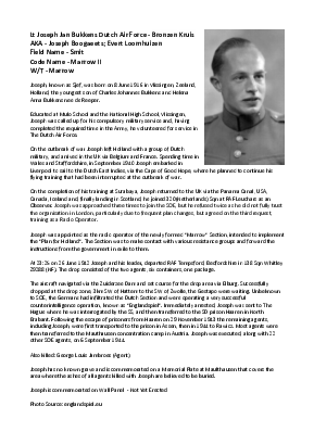 A preview of a PDF biography for Bukkens, Jozef